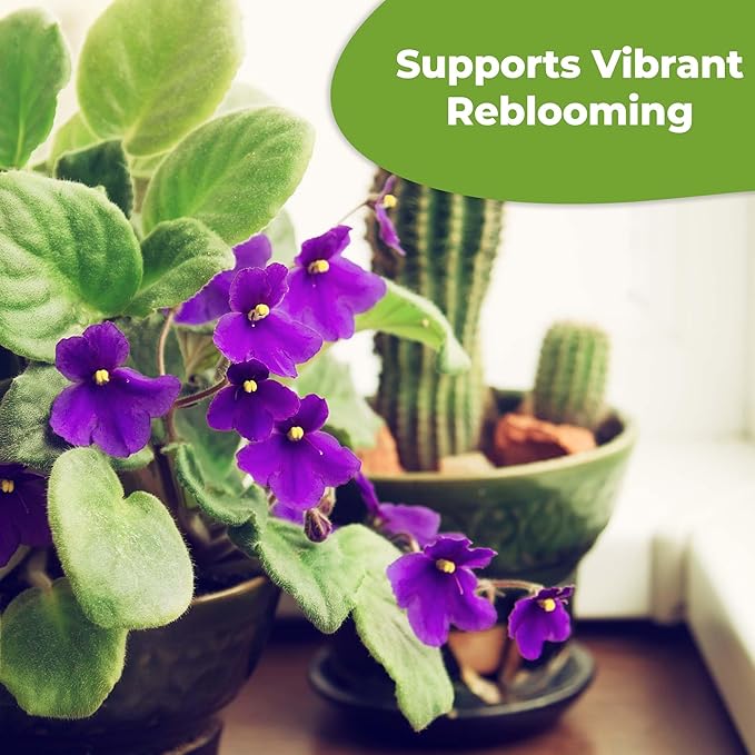 Liquid African Violet Food Drops by Perfect Plants | Fertilizer for Your Live Indoor Flowering Plant Garden | Packed with Premium Nutrients and Plant Foods | NPK 2-2-2 (4oz)