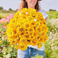 Eden Brothers Zinnia Seeds - Golden State, Non-GMO Seeds for Planting, Packet | Low-Maintenance Flower Seeds, Plant During Spring, Zones 3, 4, 5, 6, 7, 8, 9, 10