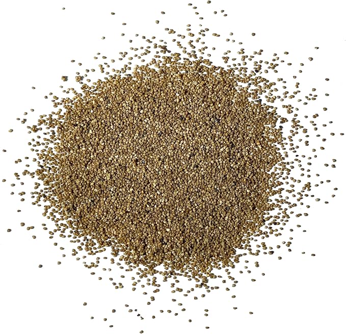 Seed Needs Danish Flag Poppy Seeds for Planting - Heirloom & Open Pollinated Annual Flowers - Attracts Pollinators/Butterflies to a Butterfly Garden (2 Packs)