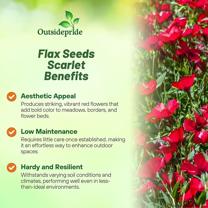 Outsidepride Scarlet Flax Seeds - 5000 Pcs Annual Flower Seeds for Planting, Self-Seeding, Drought-Tolerant w/Compact Growth, for Small Gardens, Meadows, Borders, or Mass Plantings