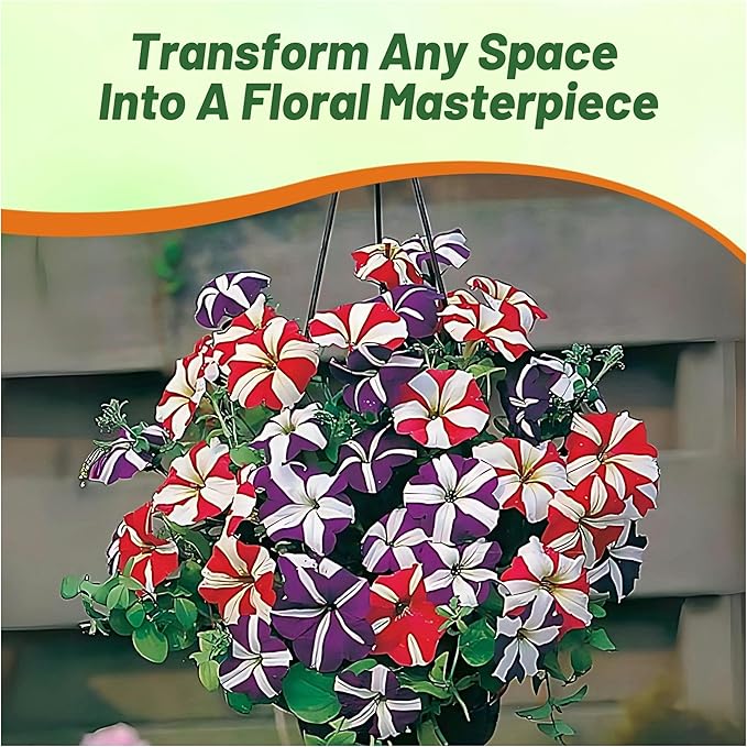 Outsidepride Star Multiflora Petunia Seeds - 1000 Pcs. Annual, Compact, Flower Seeds for Planting, Vibrant Blooms, Ideal for Garden Beds, Hanging Baskets & Container Displays