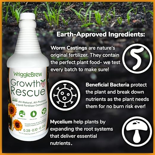 Wrigglebrew Organic Liquid Fertilizer Concentrate from Worm Castings. Non-toxic, All-Purpose, Plant Food for Gardens, Vegetables, Fruits, Houseplants, Seed Starters, and Ornamentals. (32 Fluid Ounces)