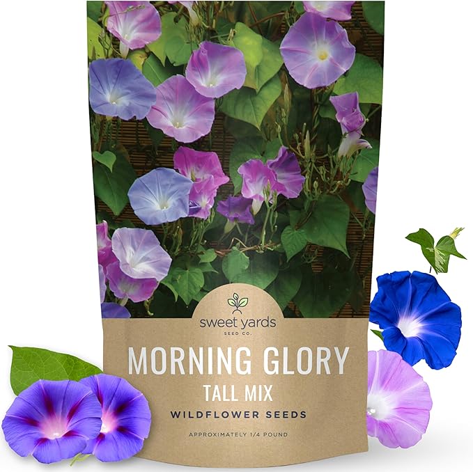 Morning Glory Tall Mix - Bulk 1/4 Pound Pouch - 3,000 Flower Seeds for Planting - Ipomoea purpurea