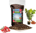 GARDENERA Premium Lychee Potting Soil Mix - Perfect Balance of Nutrients, Drainage, and Aeration for Thriving Lychee Trees - 1 Quart