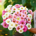 Eden Brothers Zinnia Seeds - Isn't This Romantic Mix, Non-GMO Seeds for Planting, 1 oz | Low-Maintenance Flower Seeds, Plant During Spring, Zones 3, 4, 5, 6, 7, 8, 9, 10