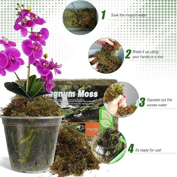 Dried Forest Moss for Plants (15 qt / 3 pcs), Sphagnum Potting Moss for Various Plants, Including Orchids, Carnivorous Plants, Succulents, Garden Flowers, and Reptiles