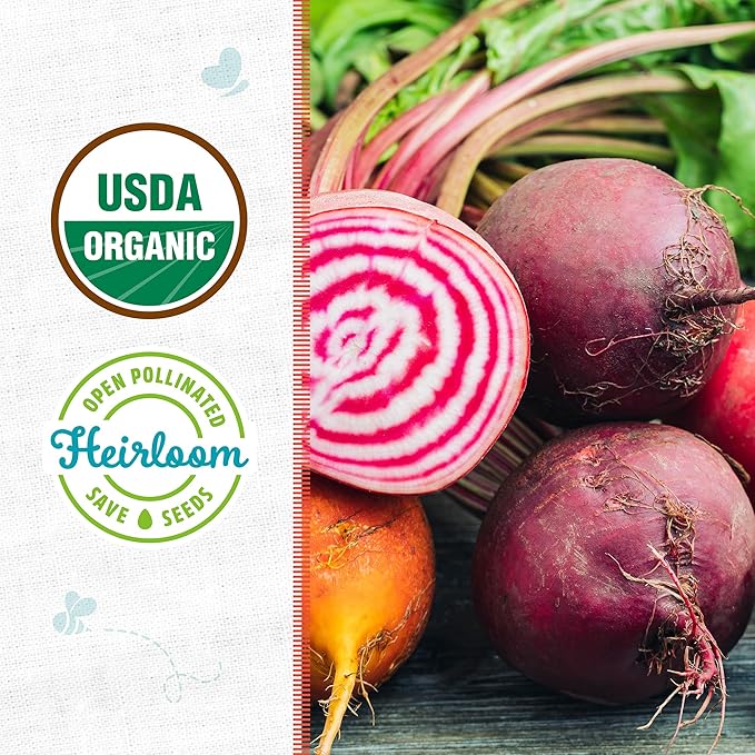 Back to The Roots 100% Organic Seed Packet - Beets 'Chioggia' 500mg