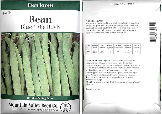Blue Lake Bush Bean 274 Seeds - 4 Oz - Non-GMO, Heirloom, Open Pollinated - Vegetable Garden Seeds - Green String Beans