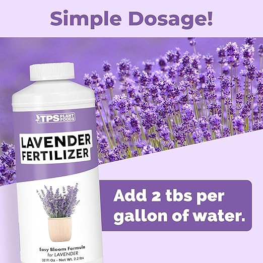 Lavender Fertilizer – Liquid Plant Food for More Blooms, Stronger Roots & Healthy Growth, 32 oz