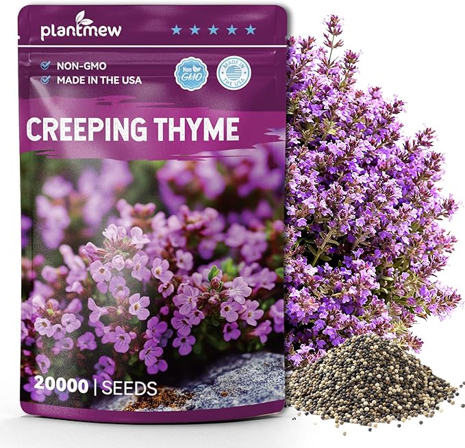 20000+pcs Creeping Thyme Seeds for Planting – Non-GMO Ground Cover Flowers –10g Edible Herb Seeds for Planting Lawns & Paths
