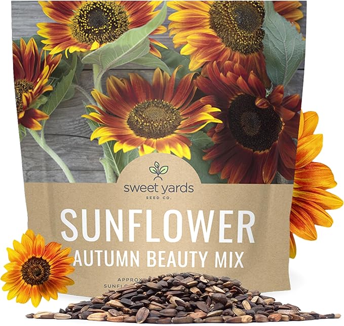 Autumn Beauty Sunflower Seeds – Extra Large Packet – Over 1,400 Open Pollinated Non-GMO Wildflower Seeds – Helianthus annus – Beautiful Shades of Gold, Bronze, Yellow, and Purple