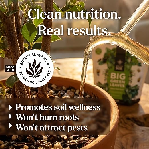 Big Green Leaves Indoor Plant Food – 4X Concentrated Houseplant Fertilizer with Sea Kelp – Makes 90 Gallons – Fast-Acting Mineral Formula, Made in USA (1 lb)