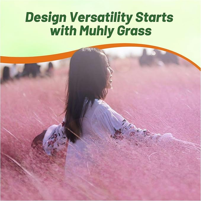 Outsidepride Pink Muhly Ornamental Grass Seeds - 100 Pcs, Perennial, Drought Tolerant, Low Maintenance, Ornamental Tall Grass Plants, Fast Growing for Landscaping, Outdoor Garden, Privacy Plants