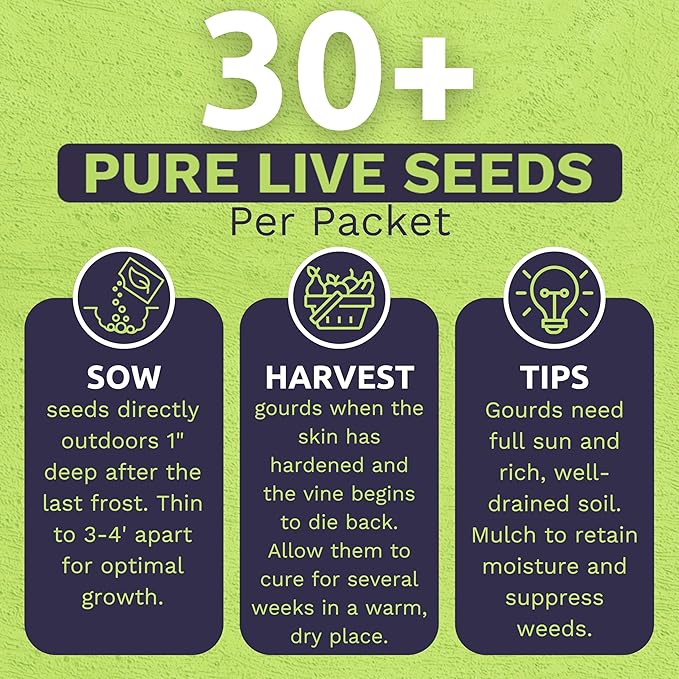Organic Mixed Gourd Seeds – Two Seed Packets! Over 30 Open Pollinated Non-GMO Seeds – Sweet Yards Seed Co.