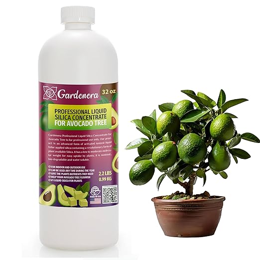 𝐏𝐑𝐎𝐅𝐄𝐒𝐒𝐈𝐎𝐍𝐀𝐋 Liquid Silica Plant Supplement - 32oz - Avocado Plants Liquid Silica Boost Fertilizer - Stronger Stems & Healthy Leaves for Indoor & Outdoor Avocado Trees (Makes 180 Gallons)