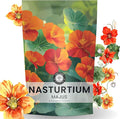 Nasturtium majus - Bulk 1/4 Pound Pouch - 900 Flower Seeds for Planting - Tropaeolum majus