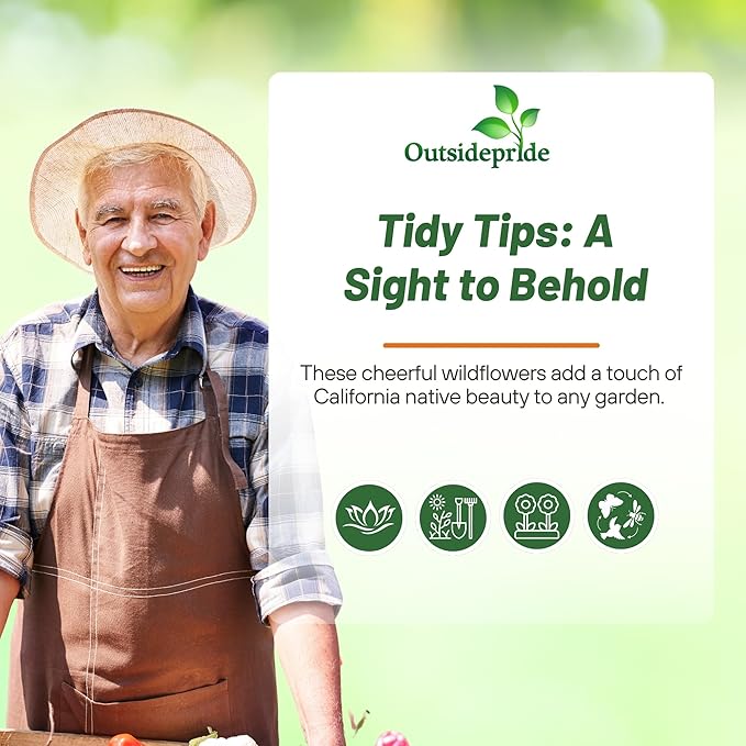 Outsidepride Tidy Tips Seeds - 1/8 lb Annual Dazzling Golden-Yellow & White Blooms, Drought Tolerant, Self-Seeding, Ideal for Rock Gardens, Flower Boxes, Borders, Xeriscape & Low-Water Landscapes