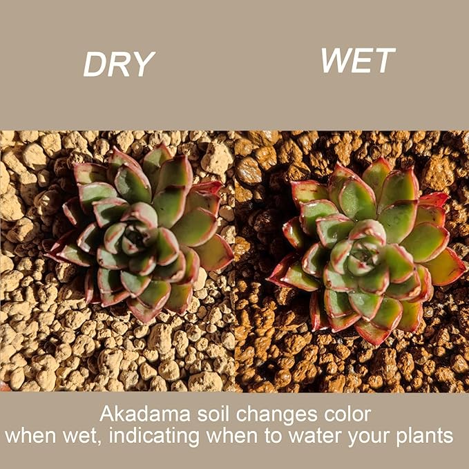 Akadama Bonsai Soil 2lbs Horticultural Potting Soil Amendment Cacti Succulent Plant Soil, Prevent Over Water, Provides Optimal Water Retention, Fast Drainage, YFAK000