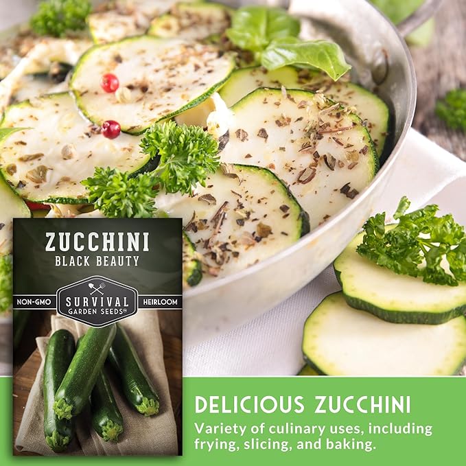 Survival Garden Seeds - Black Beauty Zucchini Seed for Planting - 1 Pack with Instructions to Plant & Grow Dark Green Summer Squash Plants in Your Home Vegetable Garden - Non-GMO Heirloom Variety