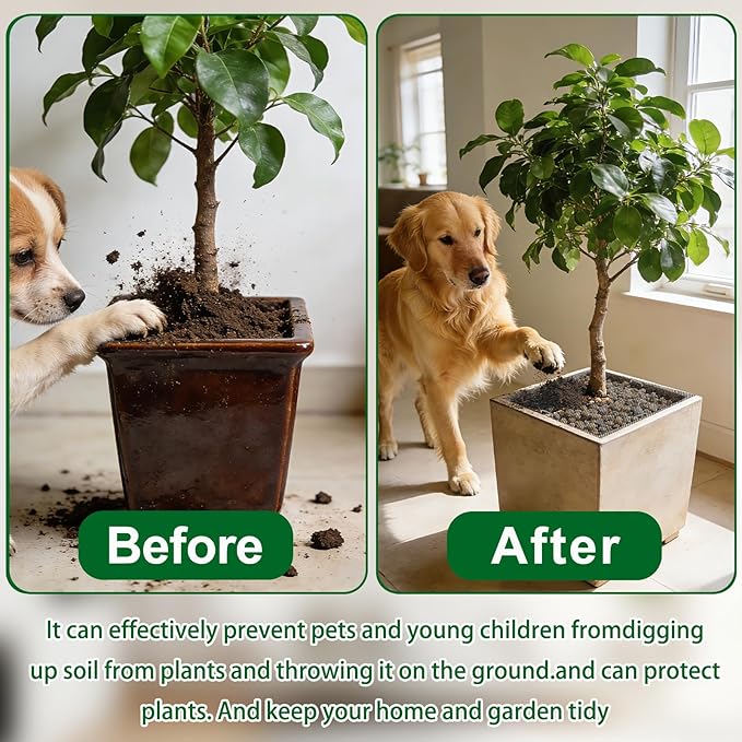 6Pcs Plant Pot Grids,11.8Inch Plant Pot Cover with 30 U-Shaped Nails, Cat Proof Protector for Potted Plants,Dig-Free Soil Cover & Flower Pot Grid Guard(Square)