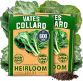 HOME GROWN Collard Green Seeds - 2 Pack - 600 Seeds for Fall Planting - High Germination Heirloom Vegetable Seeds,Vates Collard Greens Seed Pack(Brassica oleracea)