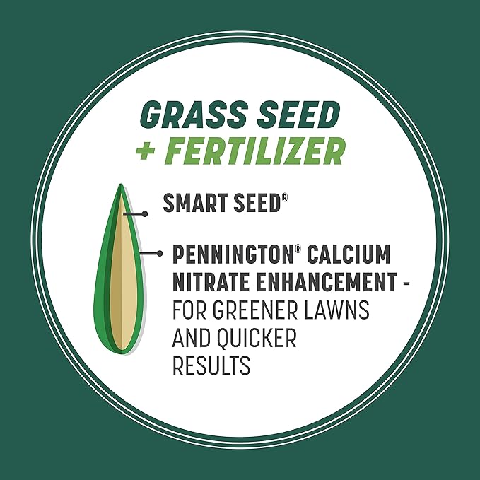 Pennington Smart Seed Sun and Shade Tall Fescue Grass Seed Mix for Southern Lawns 3 lb