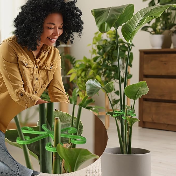 12pcs Plant Stem Support Holder - Indoor Plants Climber Support Structures Accessories
