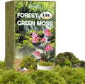 ZeeDix 3.3 lbs Forest Moss for Plants Indoor - Dried Orchid Moss for Repotting, Natural Green Sphagnum for Potted Plants Carnivorous Monstera Succulents Crafts Reptile Habitat (Expands to 60 qt)
