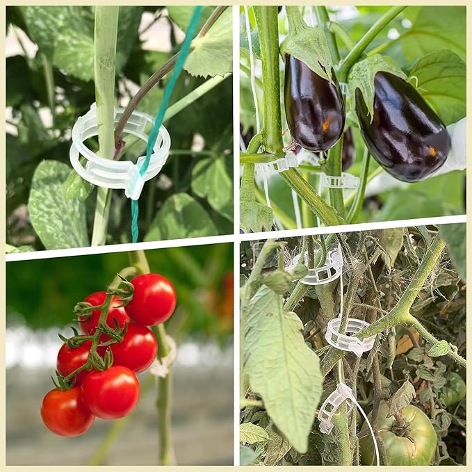 Clear Plant Support Clips 50 PCS, Reusable Plastic Garden Clips for Climbing Plants, Tomato Trellis Clips for Cucumber Eggplant Grape