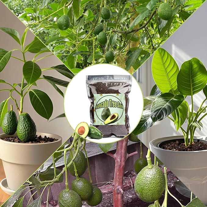 Organic Avocado Tree Potting Soil Mix 10qt, Enhance Growth and Transplant Success for Avocado Plants