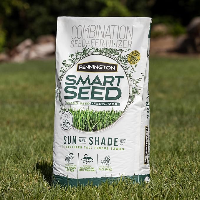 Pennington Smart Seed Sun and Shade Tall Fescue Grass Seed Mix for Southern Lawns 3 lb