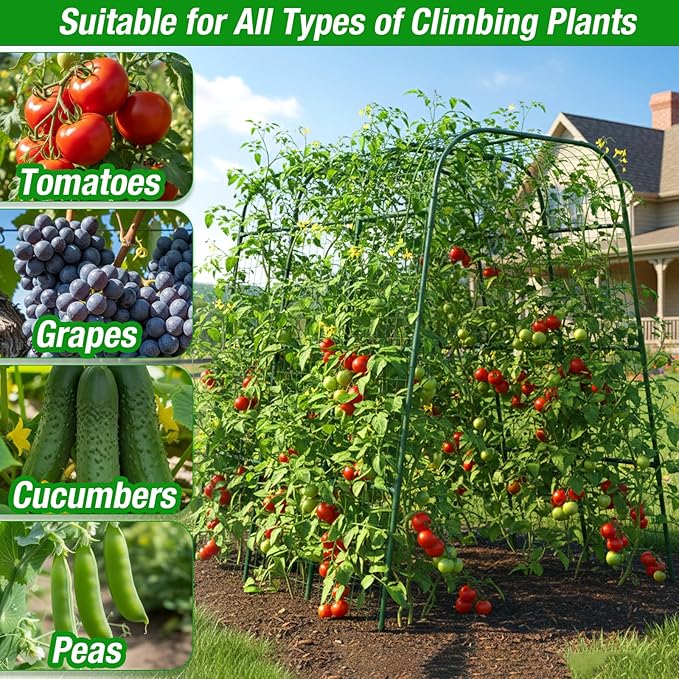 Cucumber Trellis 16mm for Raised Bed 48" L x 64" H, U-Shape Heavy-Duty Metal Garden Trellis for Climbing Plants Outdoor, Vegetable Arch Support Frame for Tomato Pea Zucchini Grape Flowers Vines