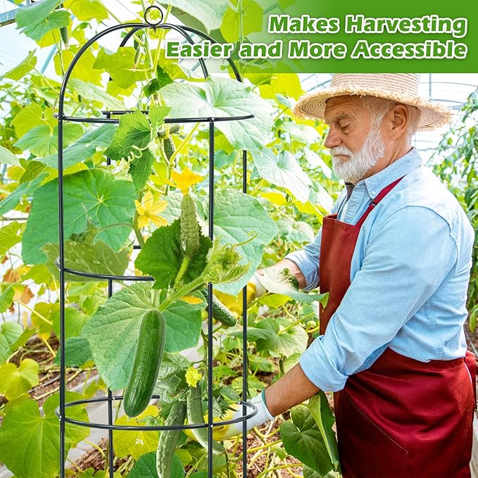 Trellis for Climbing Plants Outdoor, 75" Tall Heavy Duty Metal Obelisk Garden Trellis Climbing Plant Support for Heavy Tomatos Cucumber Potted Vine Flower Rose Clematis Vegetable Pea Bean Trellises