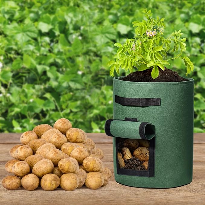 Delxo 5 Pack 7 Gallon Potato Growing Bags, Planter Garden Grow Bags with Flap, Double Layer Breathable Nonwoven Cloth for Planting,Vegetable,Tomato,Aeration Fabric Pots with Handles Green