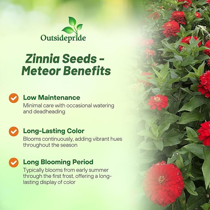 Outsidepride Dahlia Red Meteor Zinnia Seeds - 2000 Pieces Annual, Heat & Drought Tolerant Flower Seeds for Planting w/Vibrant Blooms for Pollinator Gardens & Floral Arrangements