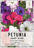 Seed Needs Petunia Seeds for Planting a Dwarf Mixture of Flowers - Heirloom & Open Pollinated - Grow an Outdoor Butterfly Garden to Attract Butterflies, Bees & Pollinators (1 Pack)