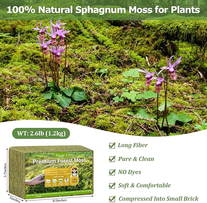 Legigo 2.6LBS Sphagnum Moss for Plants, 50QT Natural Orchid Moss Potting Mix Dired, Green Forest Plant Moss for Orchid Repotting Carnivorous Succulents Indoor Potted Plants Gardening and Reptiles