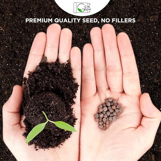 Bulk Wildflower Seed - Bird & Butterfly Garden Seed Mix | Bulk 300,000+ Annual & Perennial Flower Seeds for Planting - Attracts Hummingbirds & Butterfly | No Messy Bags or Packets | Bulk 1 Pound Jar