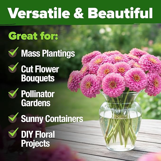HOME GROWN Pink Zinnia Seeds – 4500 Luminosa Zinnias, Easy to Grow Annual Flower Seeds for Planting Outdoors for 2026, Fast Blooming, Heat Tolerant Herb Seed Garden Companion (Zinnia elegans)