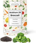 Woods Creek Seeds: Waltham 29 Broccoli Seeds for Planting - Over 1,400 Heirloom Broccoli Seed for Sprouting - Non-GMO Vegetable Plants Indoor or Outdoor Gardens & Hydroponics Sprouts Gardening