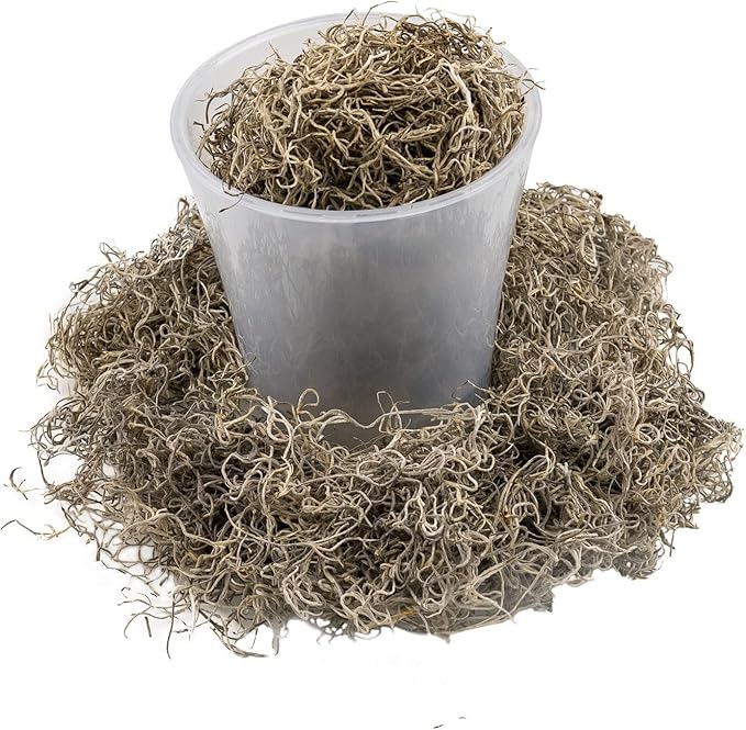 Gardenera Premium Natural Spanish Moss | Natural Preserved - Great Ground Cover - Filler for Potted Plants - 4 Quart Bag