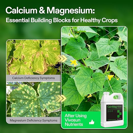 VIVOSUN Cal+Mag+Iron (2-0-0), Calcium, Magnesium & Iron Supplement, Liquid Nutrient Fertilizer for All Plants, Concentrated Plant Food for Soil/Soilless Cultivation, Hydroponics, 1 Quart