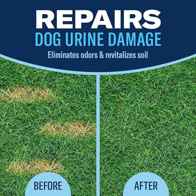 BioAdvanced Dog Spot Lawn Repair, Ready-to-Spray, 32Oz, 4,000 Sq Ft