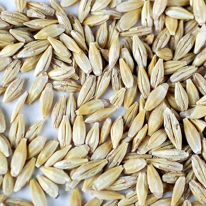 Organic Barley Seeds -4.5 Lbs - Whole (Hull Intact) Barleygrass Seed - Ornamental Barley Grass, Juicing - Grain for Beer Making, Emergency Food Storage & More