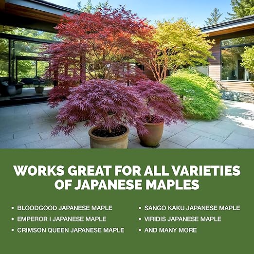 Japanese Maple Fertilizer – Liquid Plant Food for Vibrant Color, Stronger Roots & Healthy New Growth, 32 oz