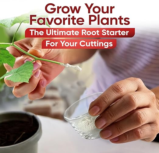 Hormex Rooting Hormone #1 - Rooting Powder for Delicate Houseplants, Succulents & Herb Cuttings | Promotes New Root Growth for Easy Propagation (0.1% IBA)