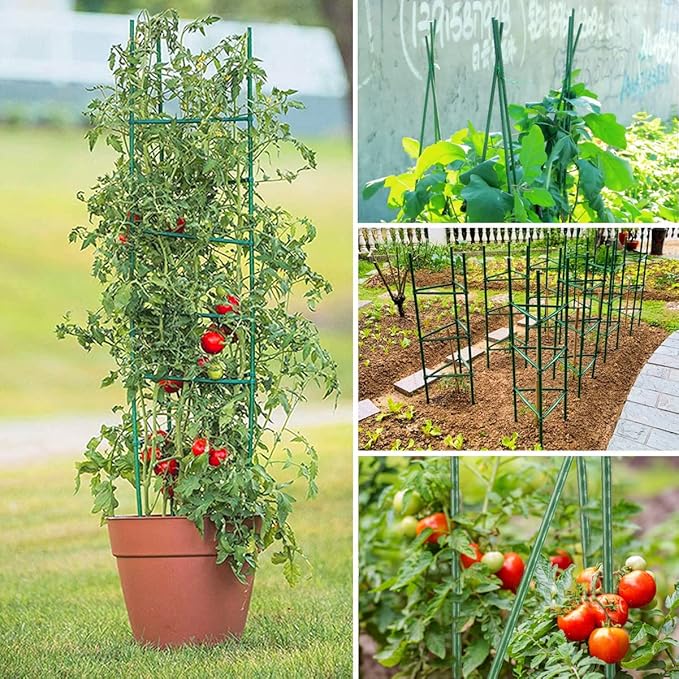 63Inch Tomato Cage for Garden Plant Support, 4Pack Adjustable Tall Tomato Cages Garden Stakes, Tomato Trellis for Pots, Tomato Cage Plant Trellis for Raised Garden Bed Climbing Plants Flowers