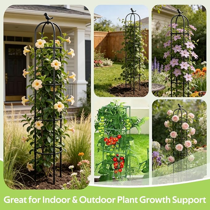 2 Pack Obelisk Trellis for Climbing Plants Outdoor - Heavy Duty Plastic Coated Steel Garden Arch Metal Trellis - Rustproof Tomato Cage Vertical Plant Support for Vines Vegetable Flower Indoor
