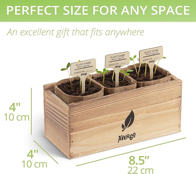 AVERGO Sunflower Seeds Growing Kit – Complete Seed and Plant Indoor & Outdoor Kit with Sunflower Seeds for Planting, Planter, Soil, Tools, Instructions – Ideal for Planting Sun Flowers at Home