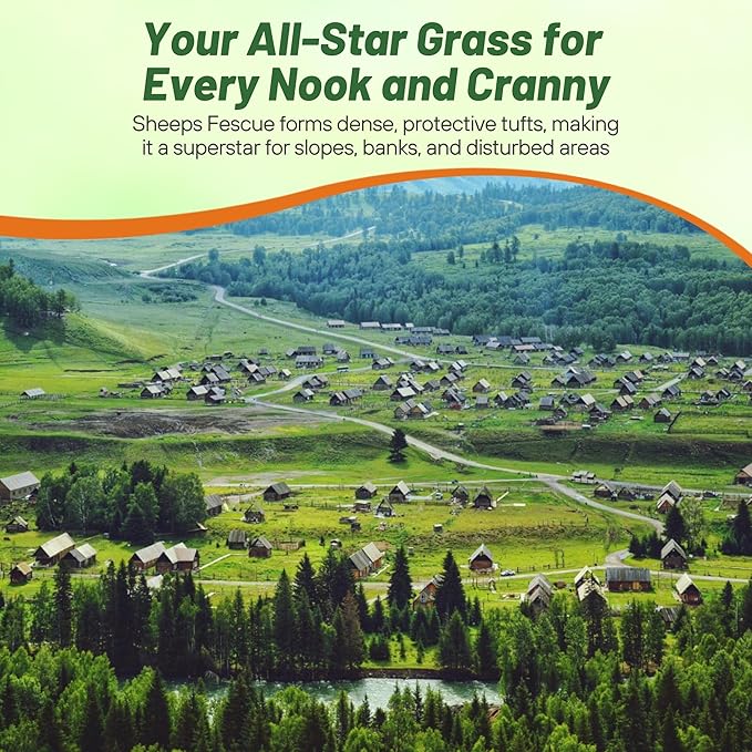 Outsidepride Sheeps Fine Fescue Grass Seed - 5 Lbs. Perennial Heat & Drought Tolerant Dense Green, Traffic-Resistant Turf for Shaded Environments w/OptiGrowth Coating for Seed Enhancement